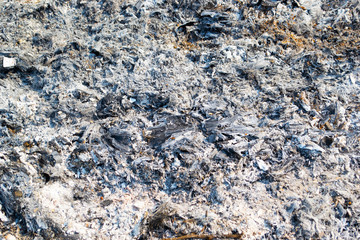 Ashes from burning wood to warm the body.