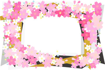 桜　枠4