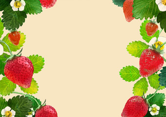 いちご　イラスト　背景素材