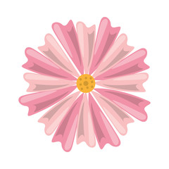 beautiful flower nature isolated icon