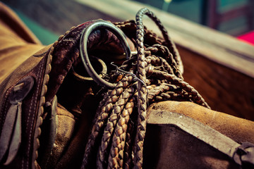horse saddle