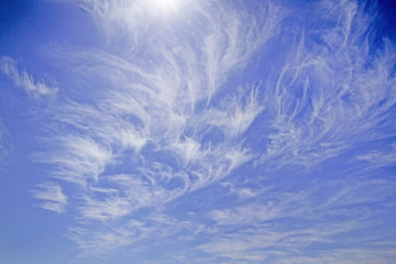 The soft, blurred white clouds in the bright sky.