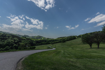 strasse und gruene landschaft
