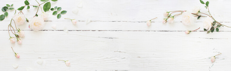 roses on white wooden background