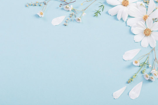 White Flowers On Paper Background