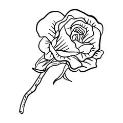 Vector Illustration Single Flower line drawing