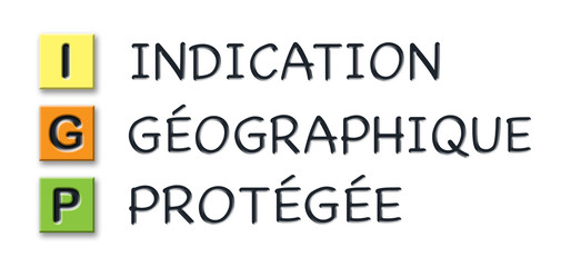 IGP initials in colored 3d cubes with meaning in french language
