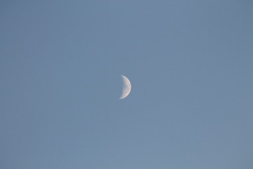 moon in the sky