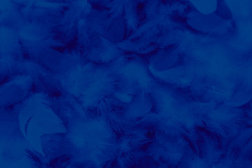 Beautiful abstract colorful black and blue feathers on black background and soft dark feather texture on dark pattern and blue background, colorful feather, purple banners