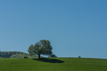 berg mit schatten und gruene wiese
