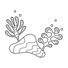 Coloring book. Underwater world of ocean plants. Anti-stress sketch by hand drawing with Doodle elements