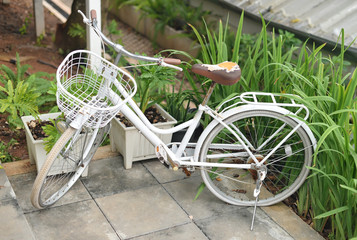 Fototapeta na wymiar Old white bicycle parking at garden
