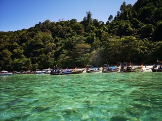 Monkey Beach, Ko Phi Phi, Thailand