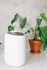 Vertical photo of white air humidifier spreading steam. Humidification of dry air. Selective focus on vapor. On background houseplant in pot. Comfortable daily life. Air purity and healthcare concept.