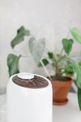 Obraz premium Close up photo of white air humidifier spreading steam. Humidification of dry air. Selective focus on vapor. On background houseplant in pot. Comfortable daily life. Air purity and healthcare concept.