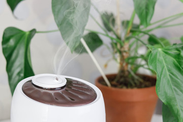White air humidifier spreading steam. Humidification of dry air. Selective focus on vapor. On background houseplant. Air purity and healthcare concept. Increasing the humidity in the room. Close up.