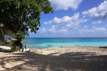 tropical beach Rangiroa French Polynesia