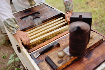frame for bees close-up in the hands of a beekeeper in the background of the sun and an apiary.
