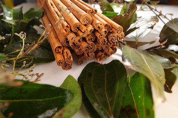 ceylon cinnamon sticks wholesale packaging