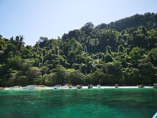 Monkey Beach, Ko Phi Phi, Thailand