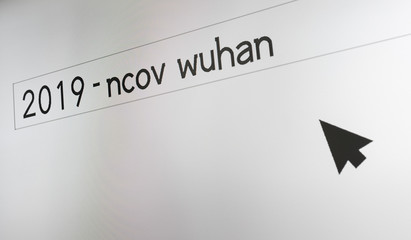 Computer screen search virus concept