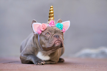 French Bulldog dog dressed up as unicorn wearing beautiful headband with pastel colored flowers and...