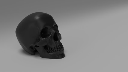high poly anatomically correct render of human skull