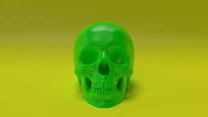 high poly anatomically correct render of human skull