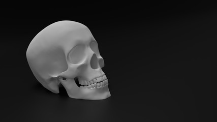 high poly anatomically correct render of human skull