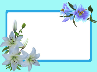 lily flowers in simple blue frame