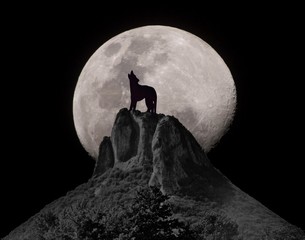 moon © Bojan Bonifacic