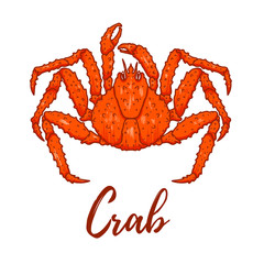Illustration of japanese spider crab. Design element for logo, label, sign, emblem, poster.