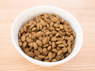 白いお皿に入ったペット用ドライフード