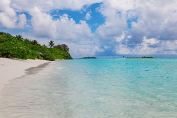 Maldive Sand Beach and green palm foliage view