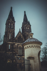 Obraz premium Vyšehrad - neo-Gothic St. Peter and St. Paul Basilica, Prague