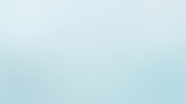 Spring Background Animation with Falling Blossom Flowers
