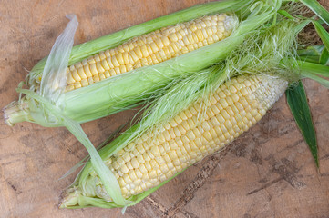 Top view on two organic corn ears lying on a wooden surface