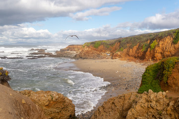 California beach