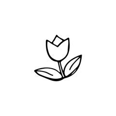 Black and white doodle tulip. Hand-drawn linear illustration for the design of holidays, cards, logos, children's rooms.