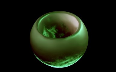 3d illustration - Bacterial Cells