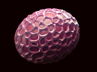 3d illustration - Freshwater Alga