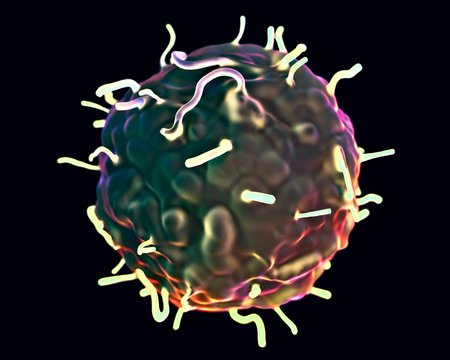 Multipotent Images – Browse 63 Stock Photos, Vectors, and Video | Adobe ...