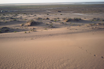 Footprints in the golden desert