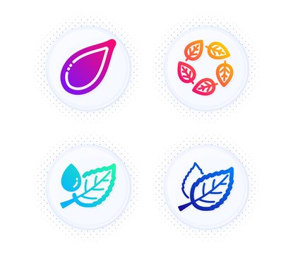 Organic tested, Pumpkin seed and Leaf dew icons simple set. Button with halftone dots. Leaf sign. Bio ingredients, Vegetarian food, Water drop. Nature leaves. Nature set. Vector - Powered by Adobe