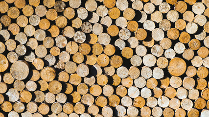 Wood firewood in woodpile. Harvested wood.
