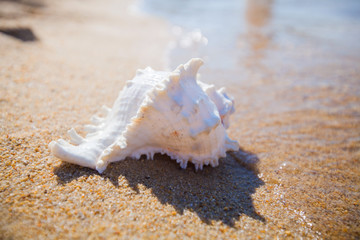 Summer vacation concept