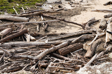piles of driftwood washed ashore after beach storm at sea atlantic ocean on South West Coast of france in Saint-Palais-sur-Mer