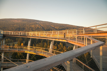 Treetop walkway tower in Janske Lazne in autumn. Stezka korunami stromu. The Tree Top Walk.