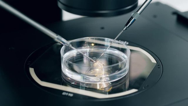 Medical machine works with cells during in vitro fertilization.