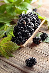 Blackberries with leaves .